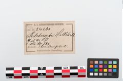 Etiketten zu Bronzebrillenfibel (NHMW-PRAE-024260)